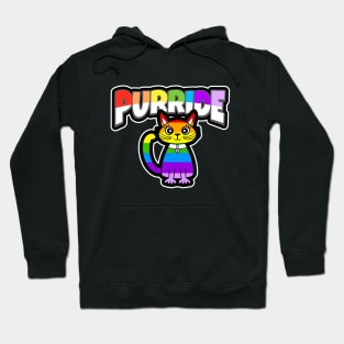 Rainbow Cat Pride Hoodie